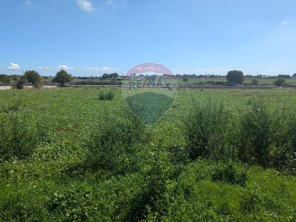 Terreno a Ragusa in CONTRADA ROBANOVA - Foto 2