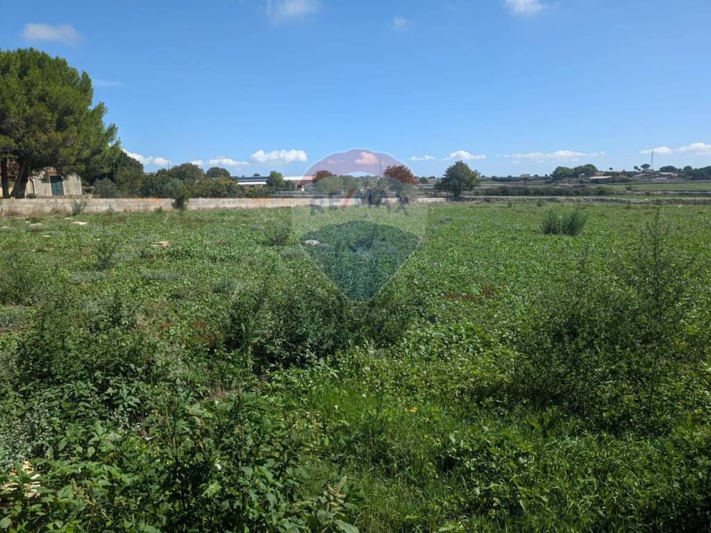 Terreno a Ragusa in CONTRADA ROBANOVA - Foto 3