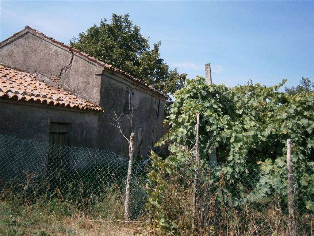 Rustico / casale a Villamarzana in VILLAMARZANA via Gramsci, 16 - Foto 5