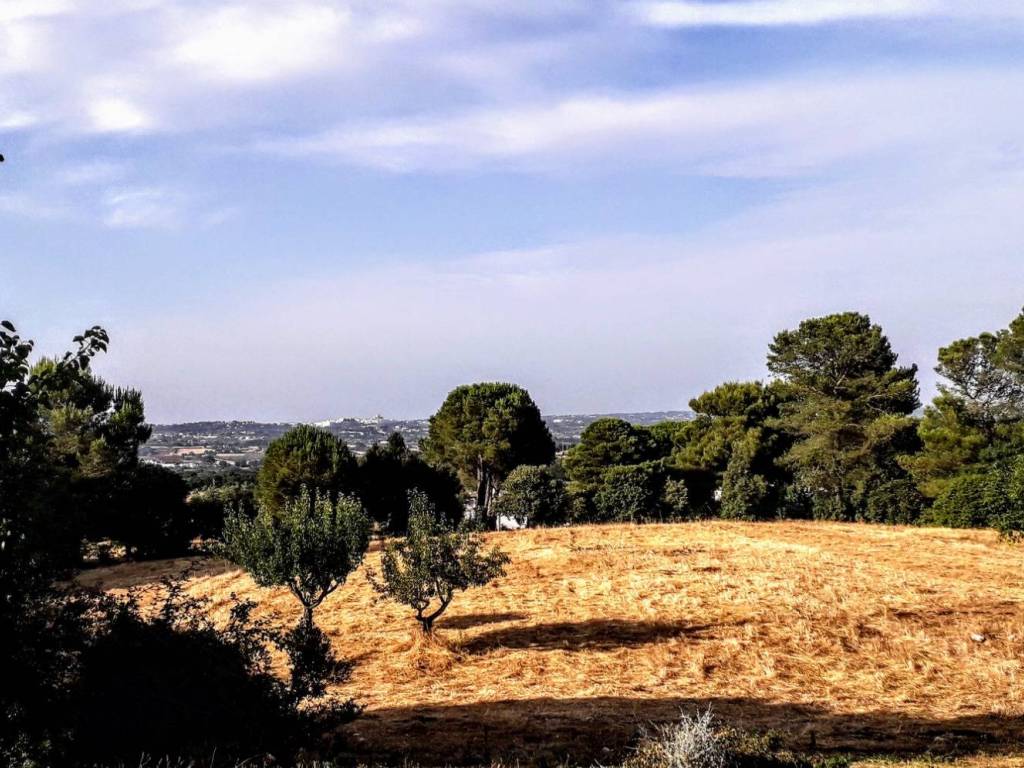 Rustico / casale a Martina franca in Strada Finimondo - Foto 5