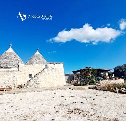 Rustico / casale a Ostuni in SP14 - Foto 4