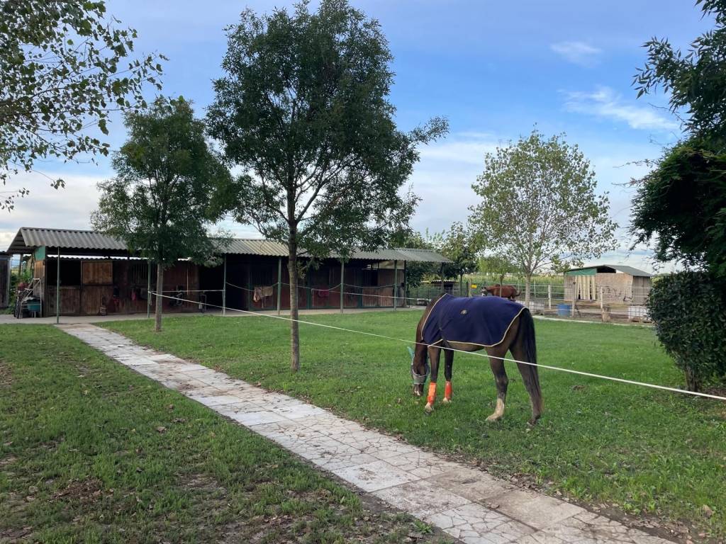 Villa a Castelleone in Via Villa Alda 3 - Foto 2