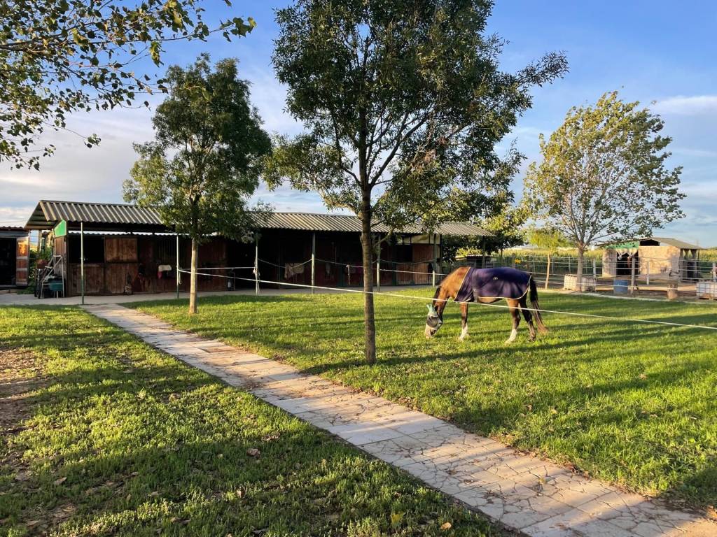 Villa a Castelleone in Via Villa Alda 3 - Foto 4