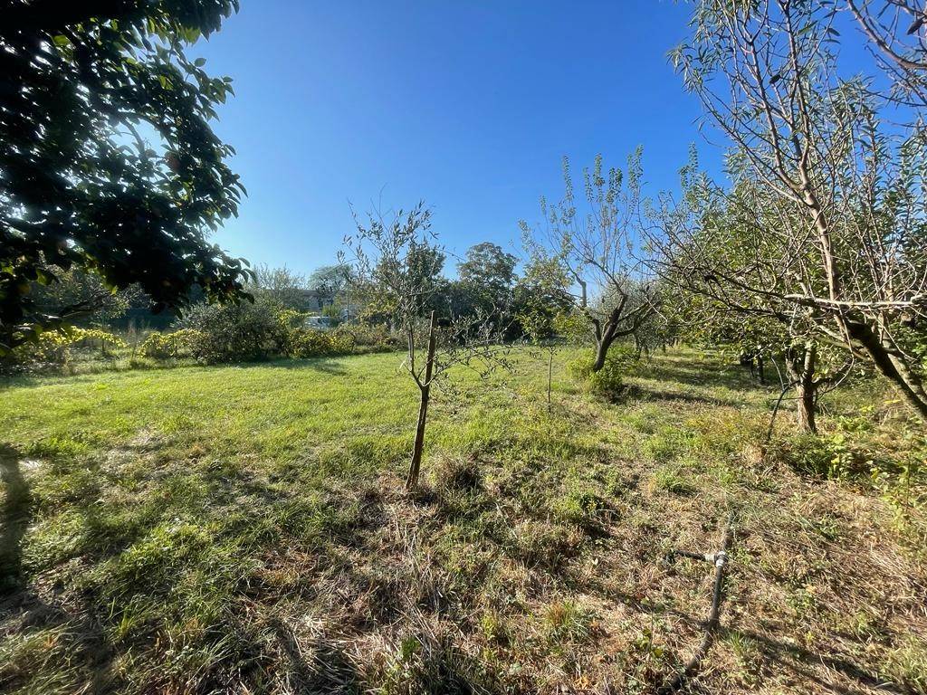 Terreno a Riccione in Via Flaminia, 193 - Foto 5