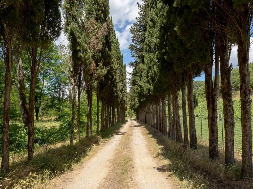 Rustico / casale a Gaiole in chianti in località molino carpinese, 24 - Foto 2