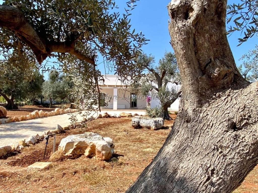 Villa a Ostuni in Contrada Tamburroni - Foto 2
