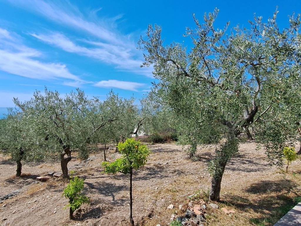 Rustico / casale a Monte sant'angelo in SS89 - Foto 5