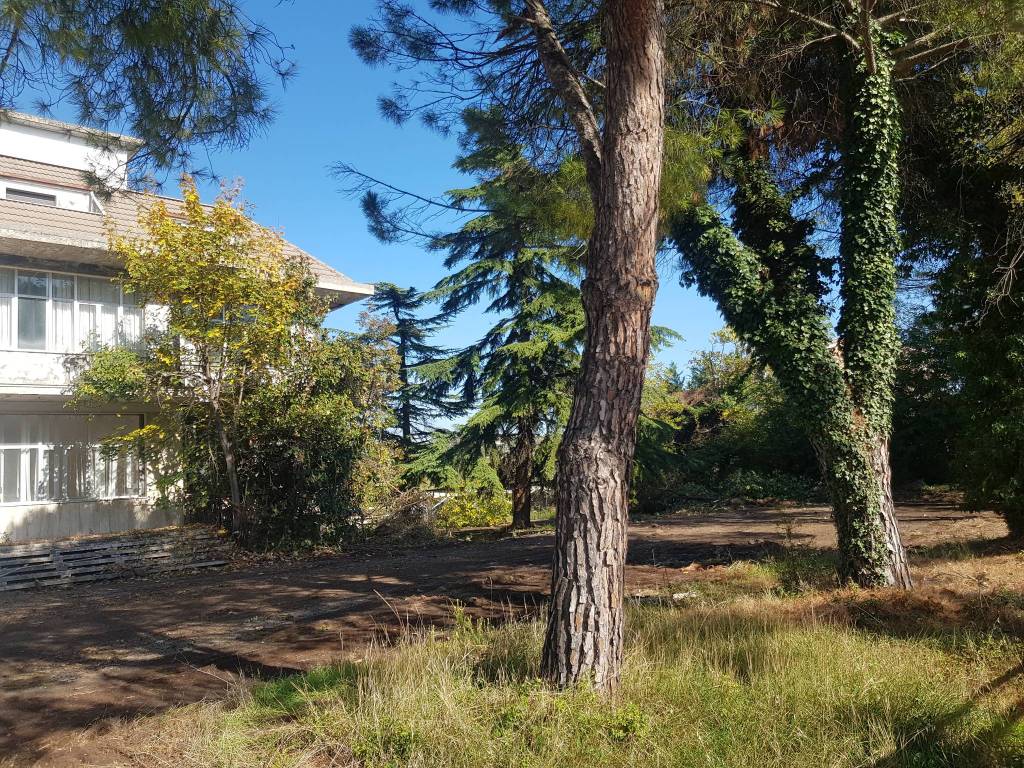 Immobile a Maltignano in Viale Abruzzi, 25 - Foto 3