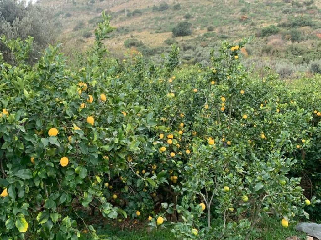 Terreno a Carini in Via Grecia, 40 - Foto 3