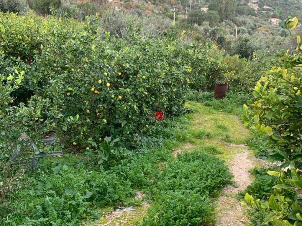 Terreno a Carini in Via Grecia, 40 - Foto 4