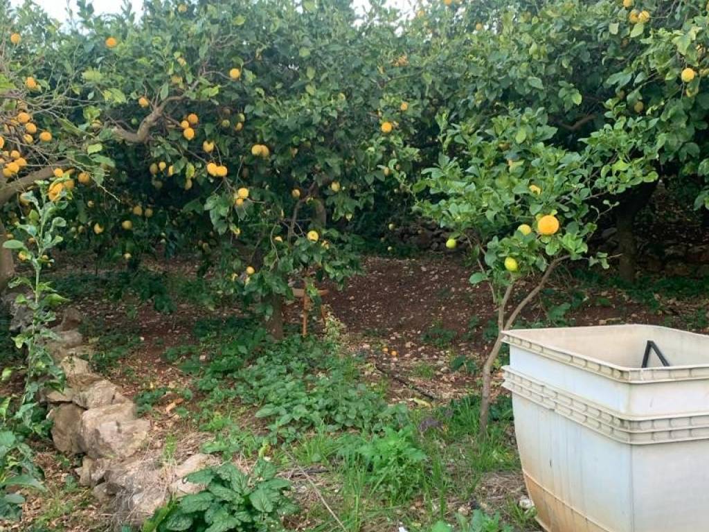 Terreno a Carini in Via Grecia, 40 - Foto 5