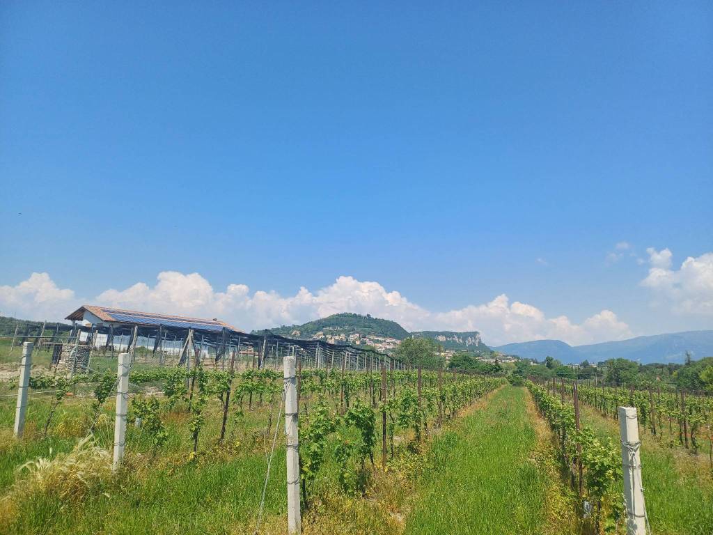 Rustico / casale a Bardolino in Via Ronchi - Foto 5