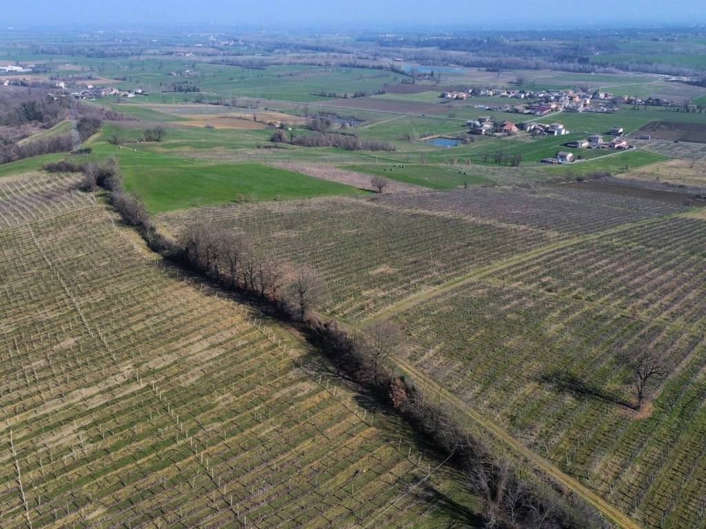 Terreno a Piacenza - Foto 4