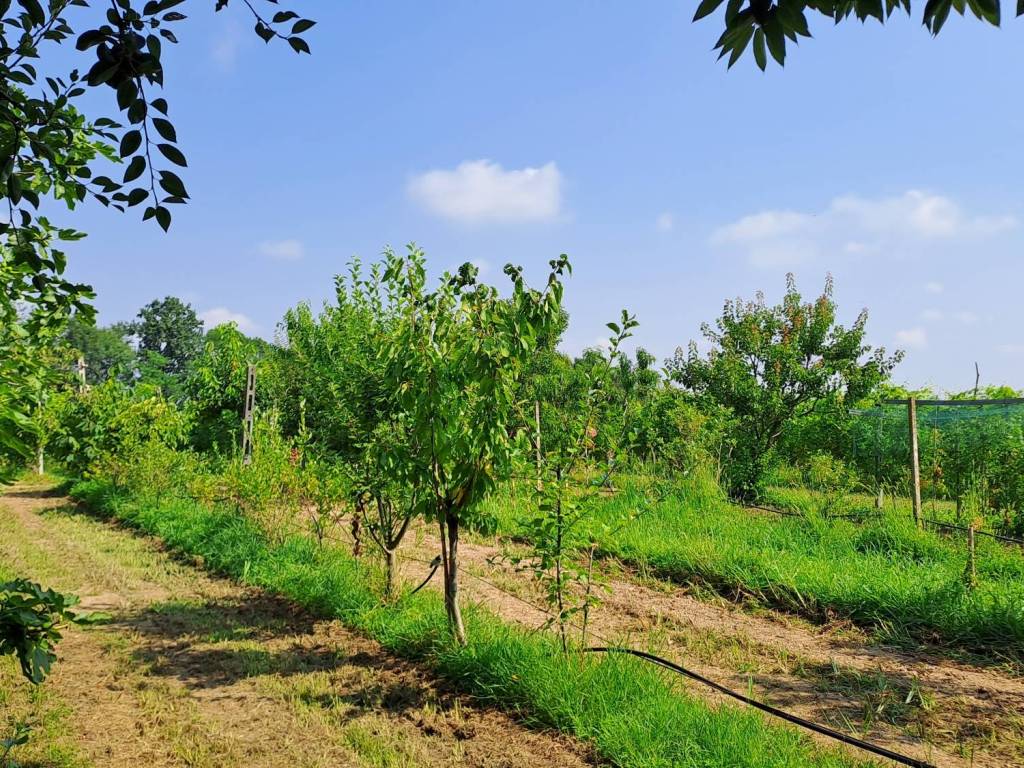 Terreno a Bagnolo piemonte - Foto 2