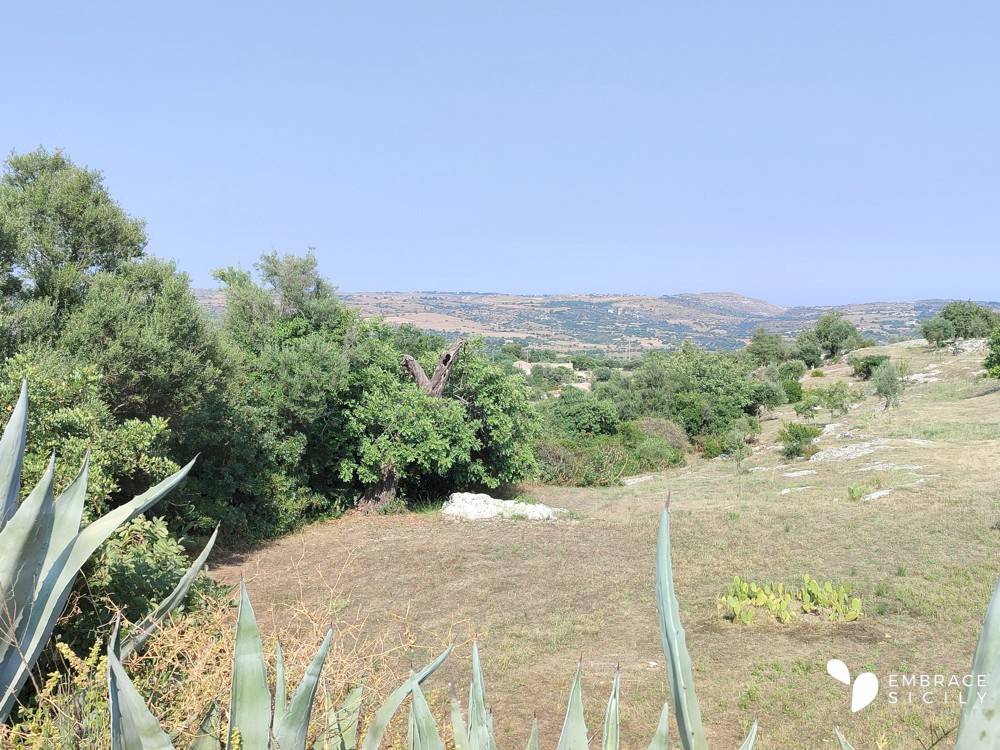 Rustico / casale a Noto in Strada Provinciale Serralombardi Scassabarile - Foto 4