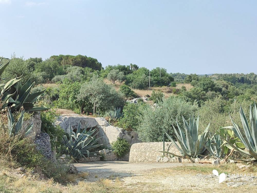 Rustico / casale a Noto in Strada Provinciale Serralombardi Scassabarile - Foto 5