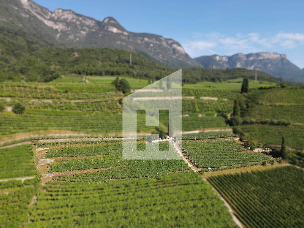 Terreno a Caldaro sulla strada del vino - Foto 2