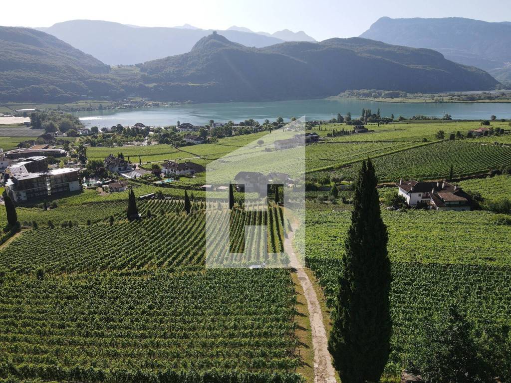 Terreno a Caldaro sulla strada del vino - Foto 3