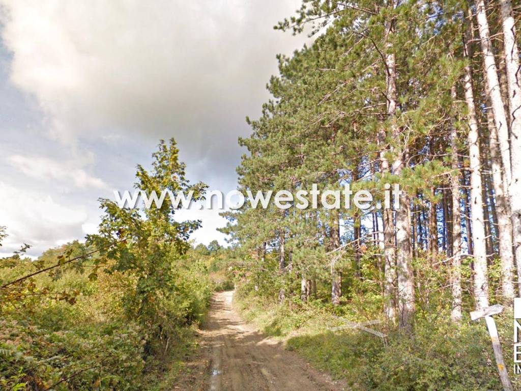 Terreno a Chiusi della verna in Strada Provinciale della Verna - Foto 2