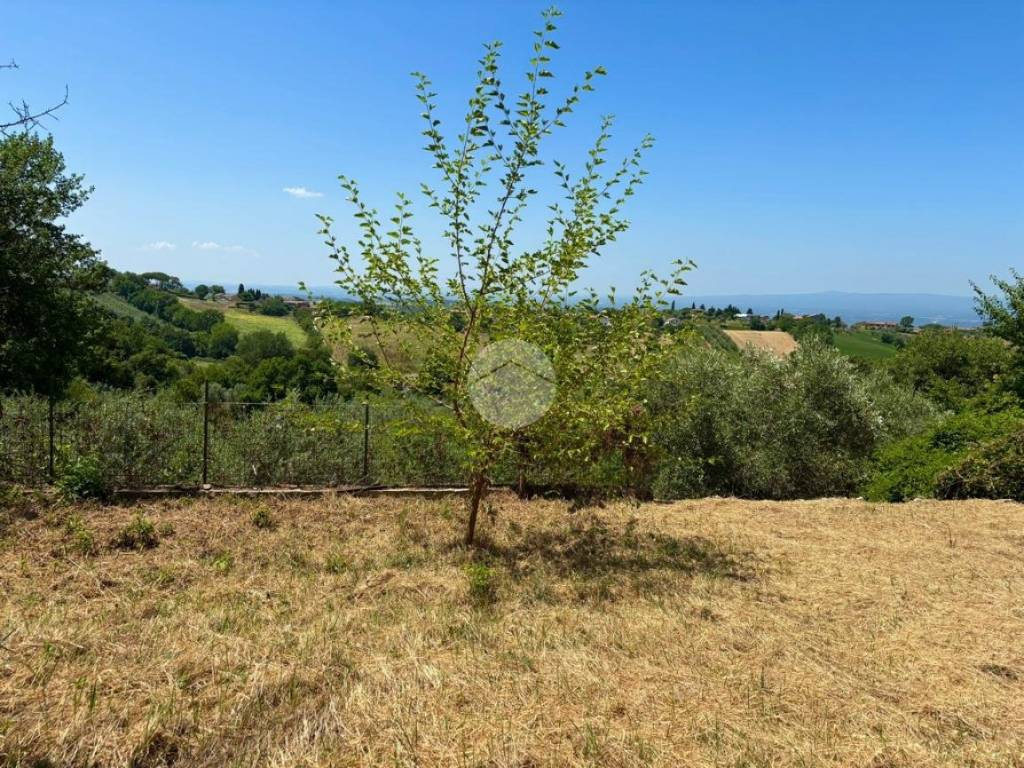 Casa indipendente a Calvi dell'umbria in BORGATA SAN LORENZO, 18 - Foto 3
