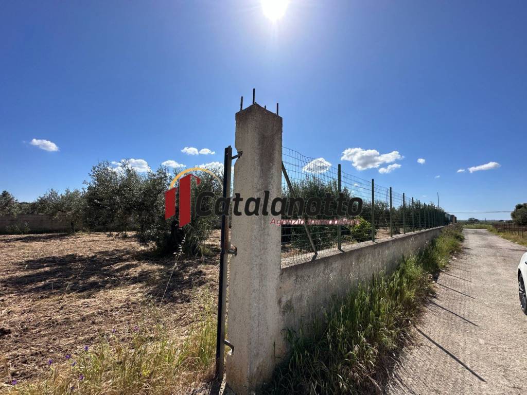 Terreno a Castelvetrano in Contrada Mortilluzi - Foto 2
