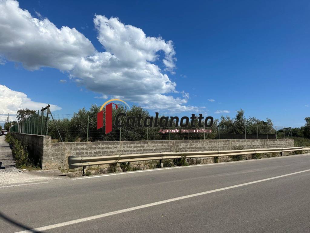 Terreno a Castelvetrano in Contrada Mortilluzi - Foto 4
