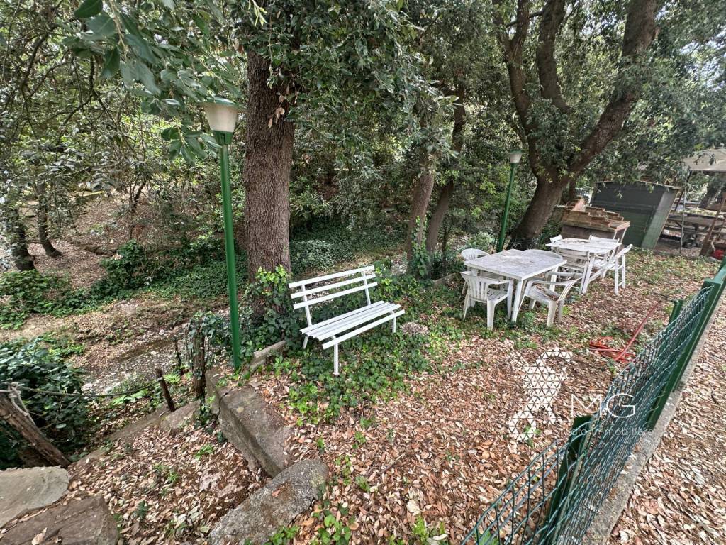Appartamento a Rosignano marittimo in Via Adriano Cecioni - Foto 2
