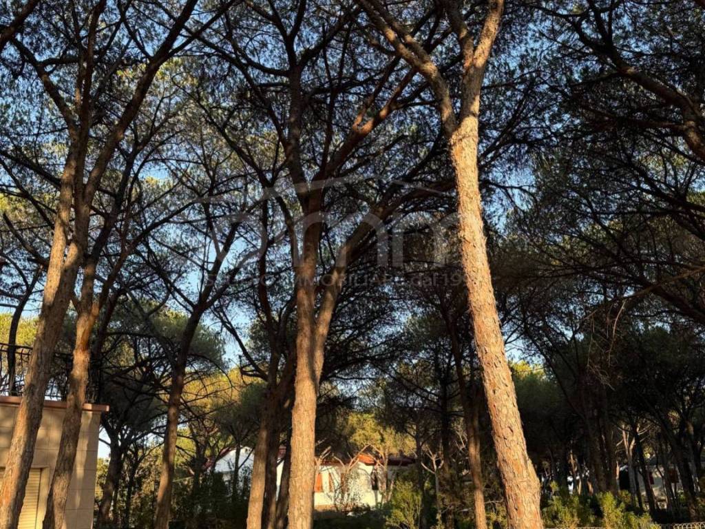 Villa a Pula in VIA DELLE GRAZIE, 18 - Foto 2