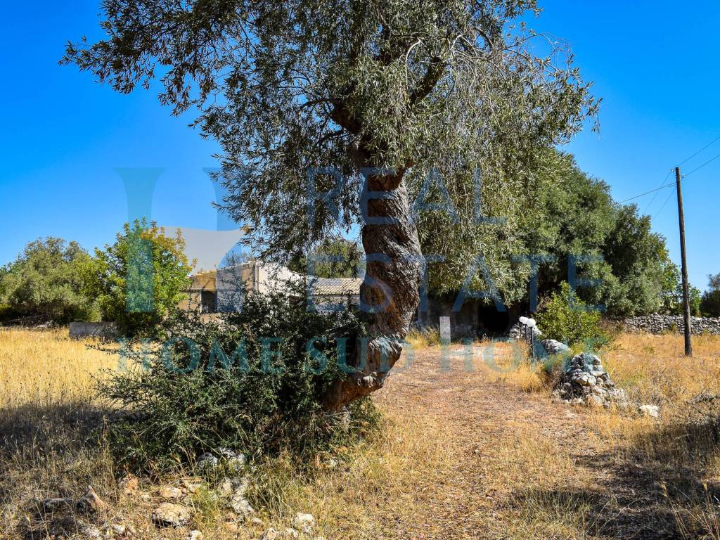 Rustico / casale a Noto in Via Tommaso Fazello, 228 - Foto 4