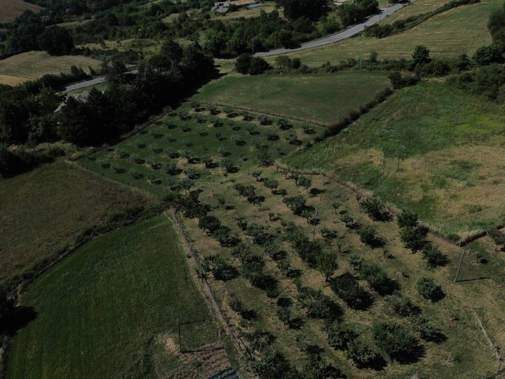 Terreno a Cantalupo nel sannio in Strada Provinciale Volturno Pentrica - Foto 2