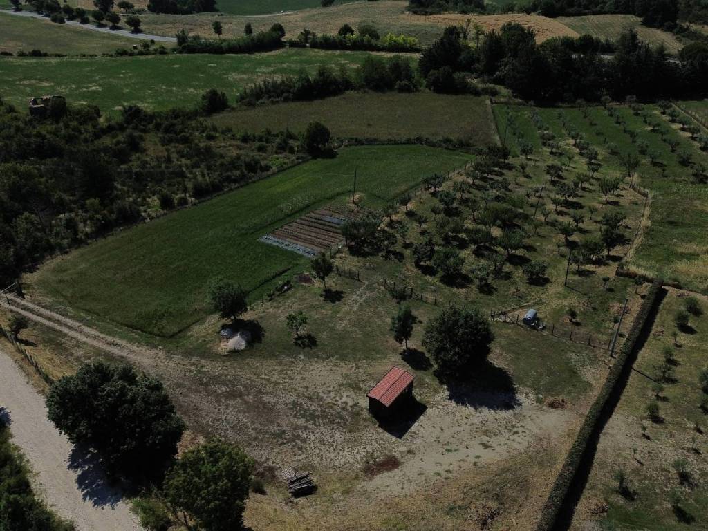 Terreno a Cantalupo nel sannio in Strada Provinciale Volturno Pentrica - Foto 3