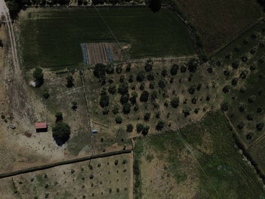 Terreno a Cantalupo nel sannio in Strada Provinciale Volturno Pentrica - Foto 5