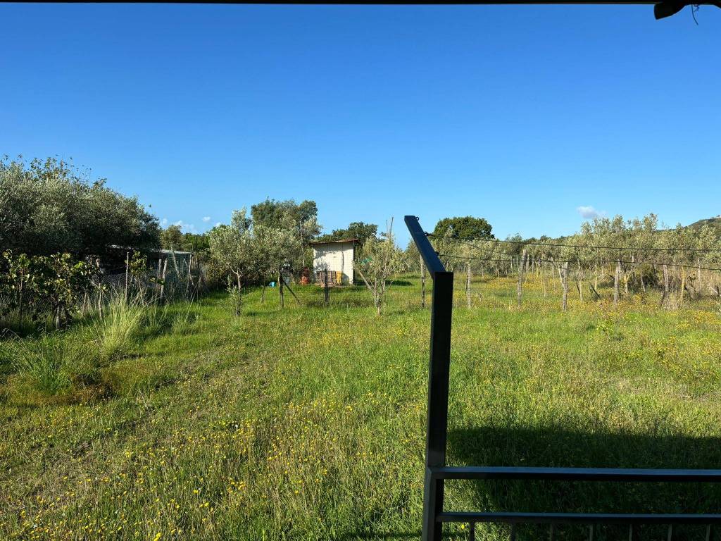 Terreno a Ascea - Foto 2