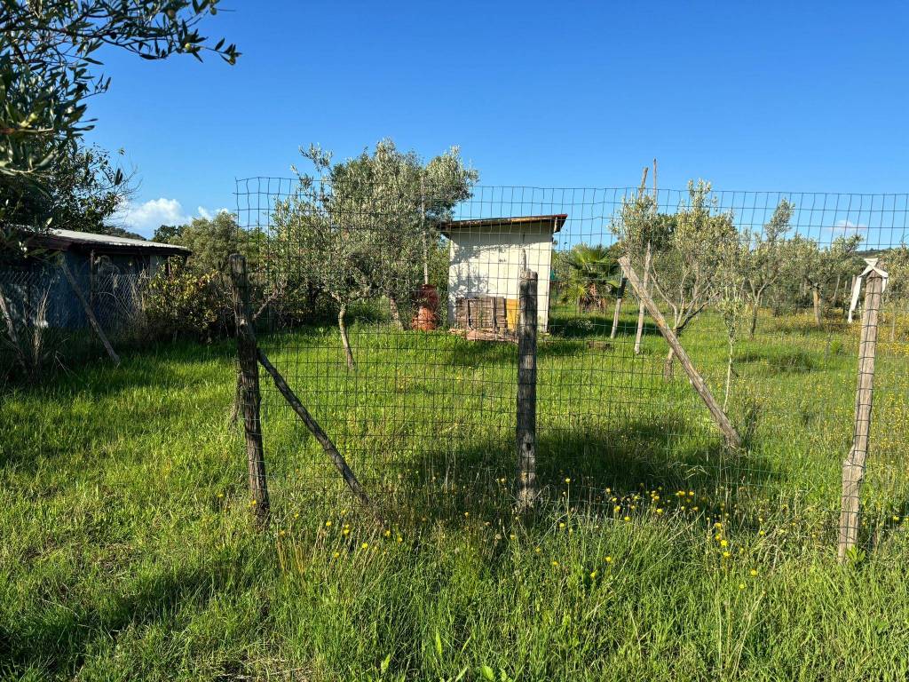 Terreno a Ascea - Foto 5