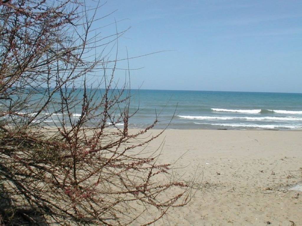 Appartamento a Castiglione della pescaia in Viale Giuseppe Verdi - Foto 5