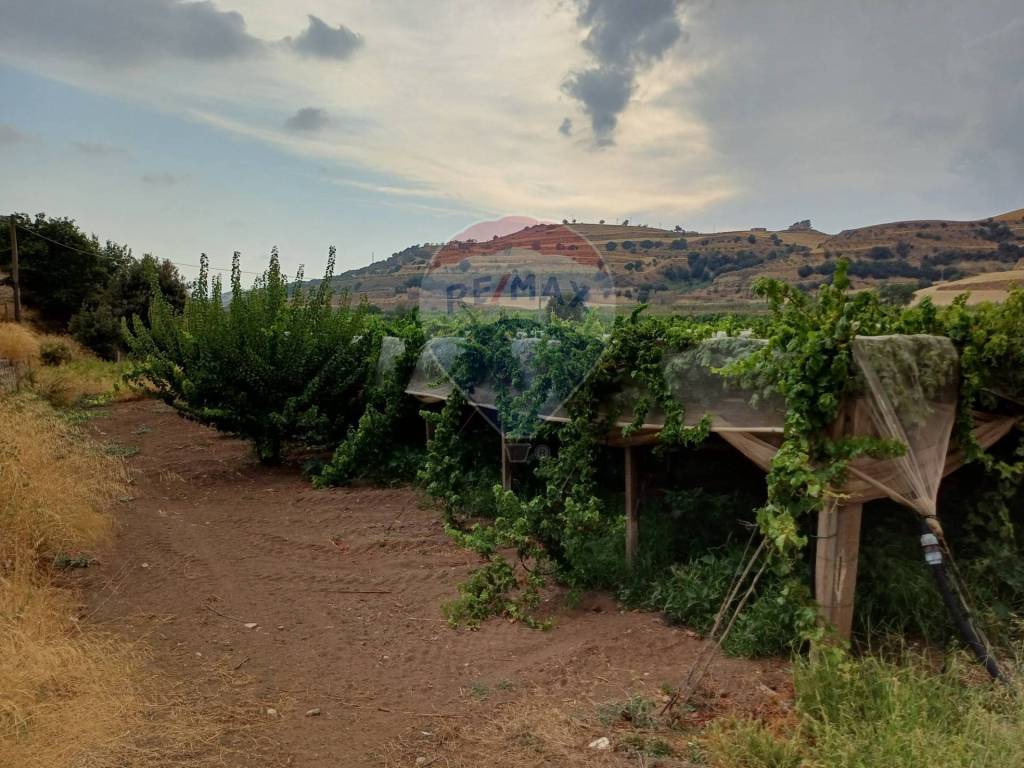 Terreno a Chiaramonte gulfi in C/da Mazzarronello - Foto 3
