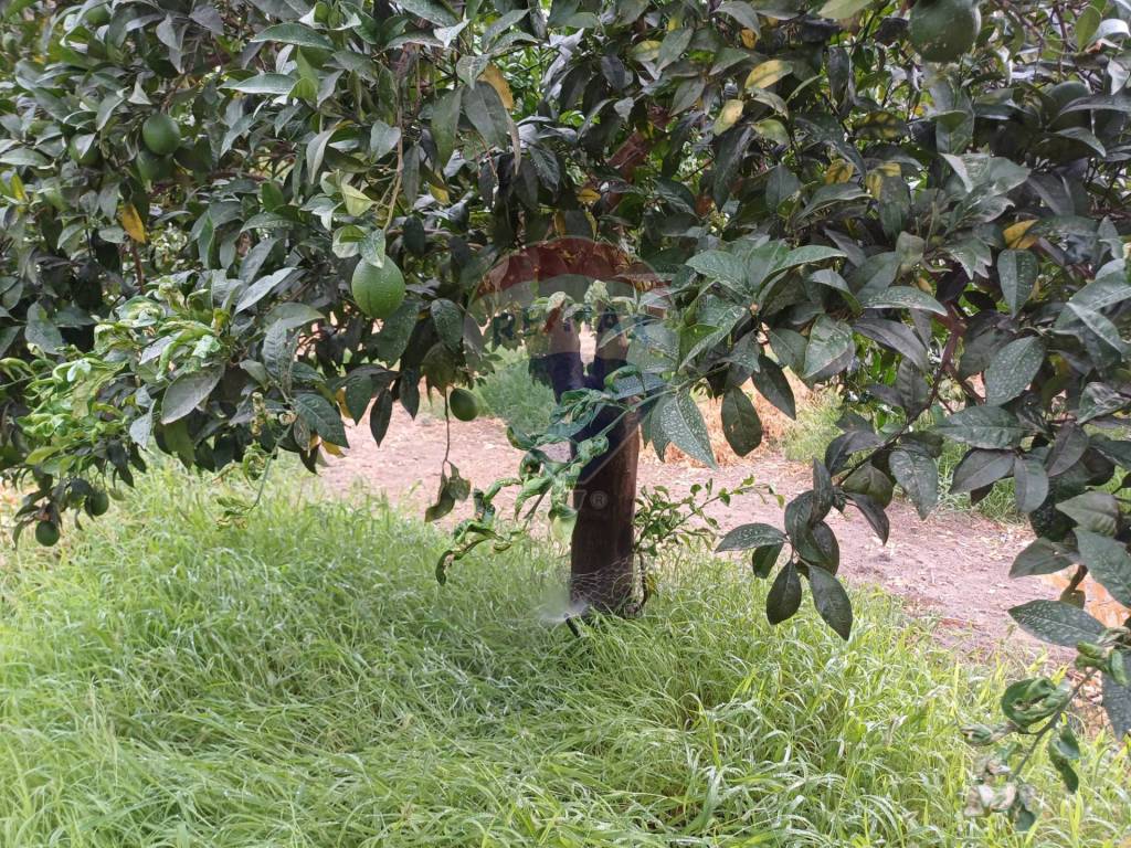 Terreno a Chiaramonte gulfi in C/da Mazzarronello - Foto 4