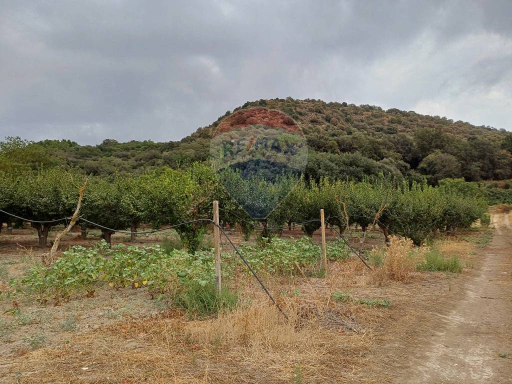 Terreno a Chiaramonte gulfi in C/da Mazzarronello - Foto 5