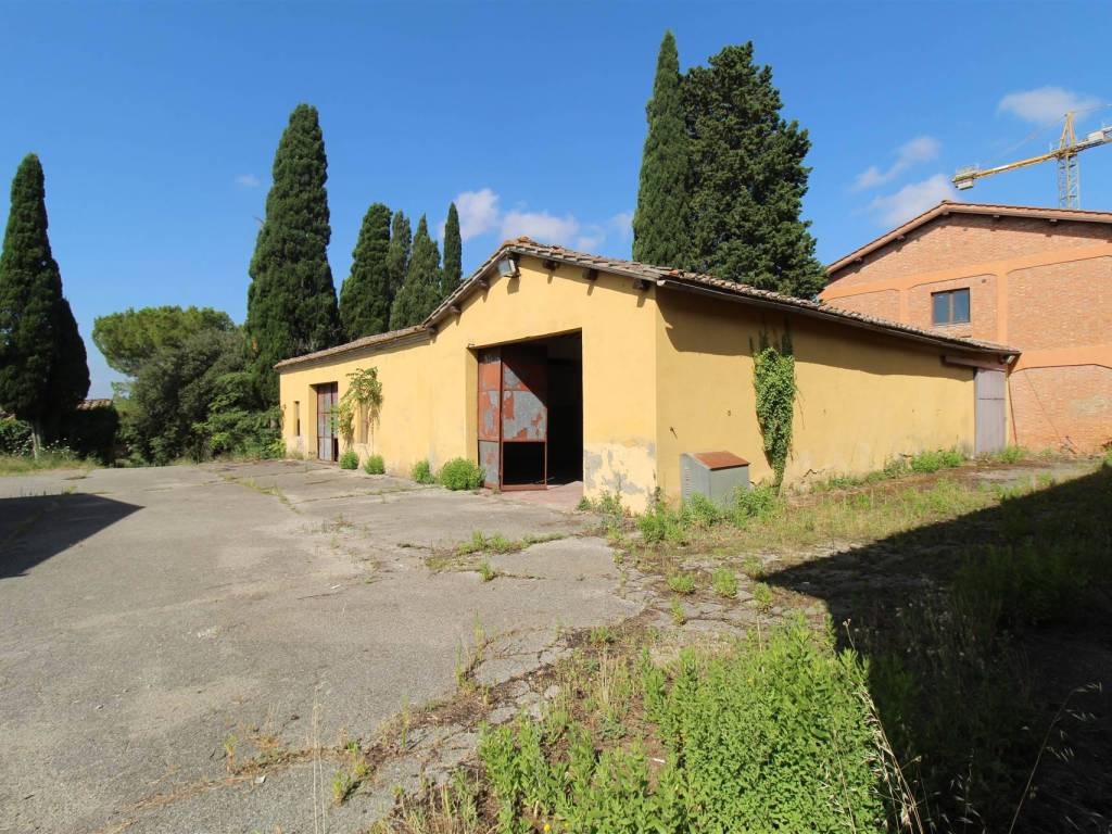 Rustico / casale a Asciano in salteano - Foto 3