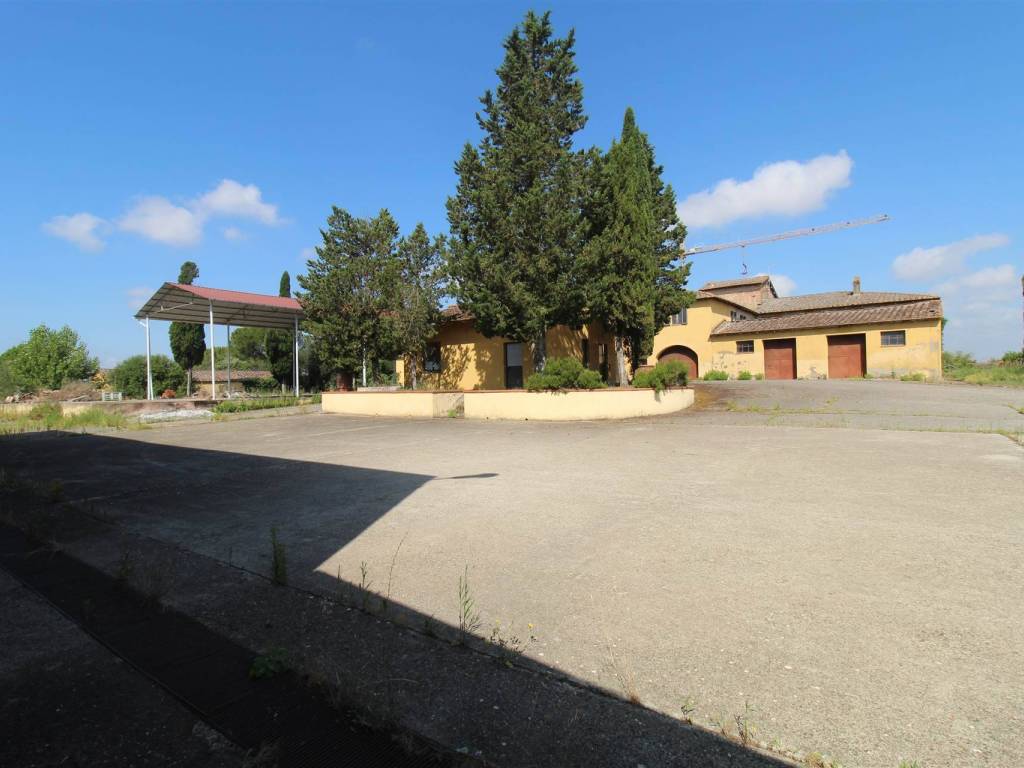 Rustico / casale a Asciano in salteano - Foto 5