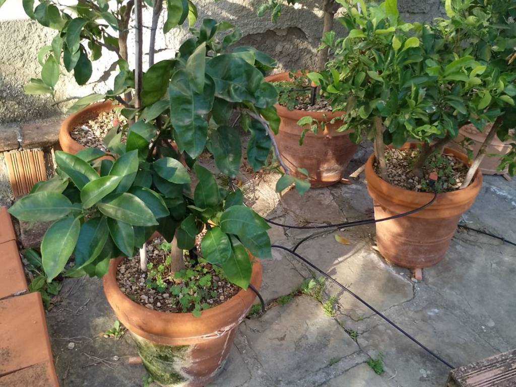 Rustico / casale a Buggiano in Strada Provinciale Colligiana - Foto 4