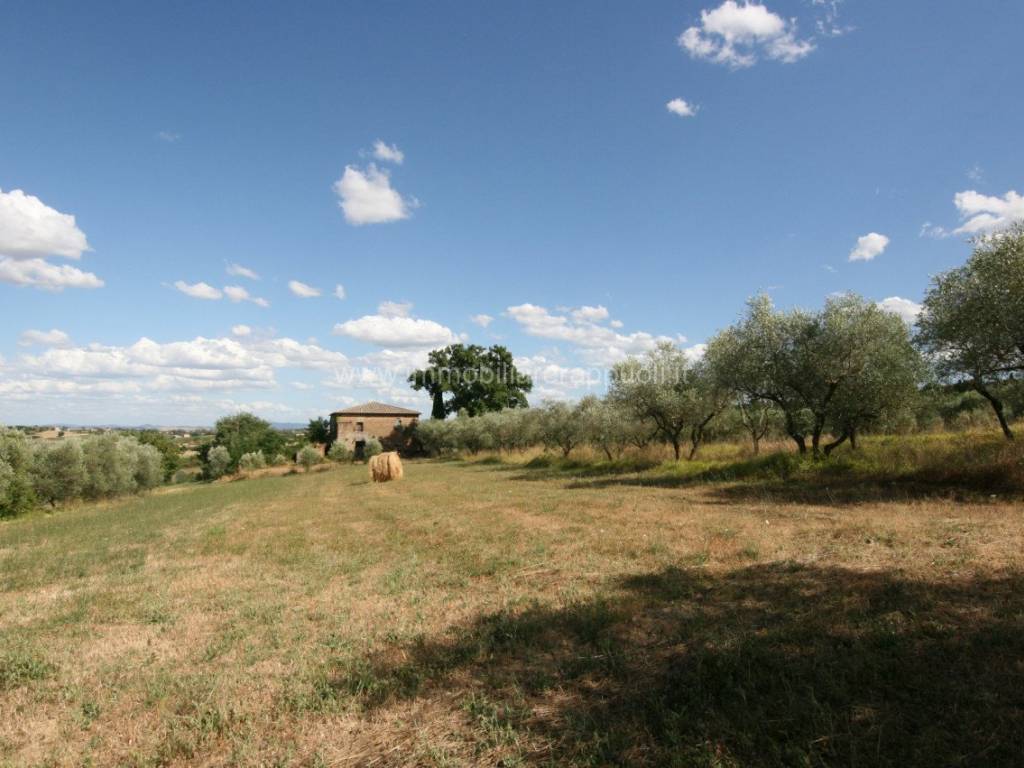 Rustico / casale a Torrita di siena - Foto 5