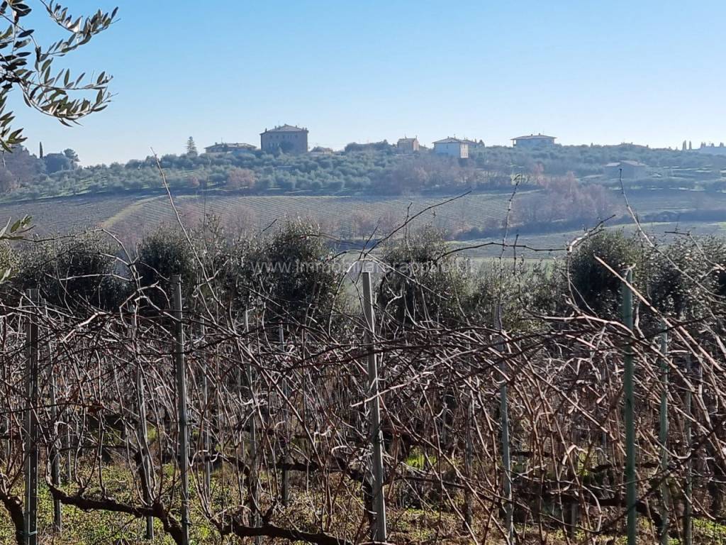 Terreno a Montepulciano - Foto 5