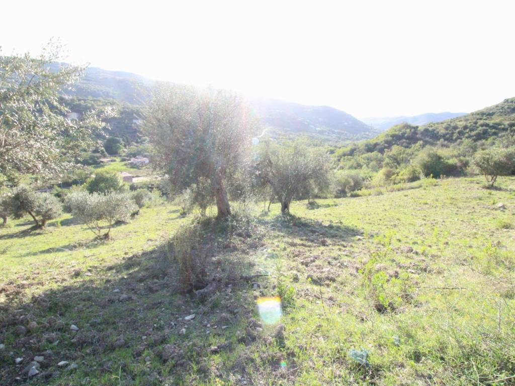 Terreno a Torchiara in Strada Vincinale della Fontana - Foto 4