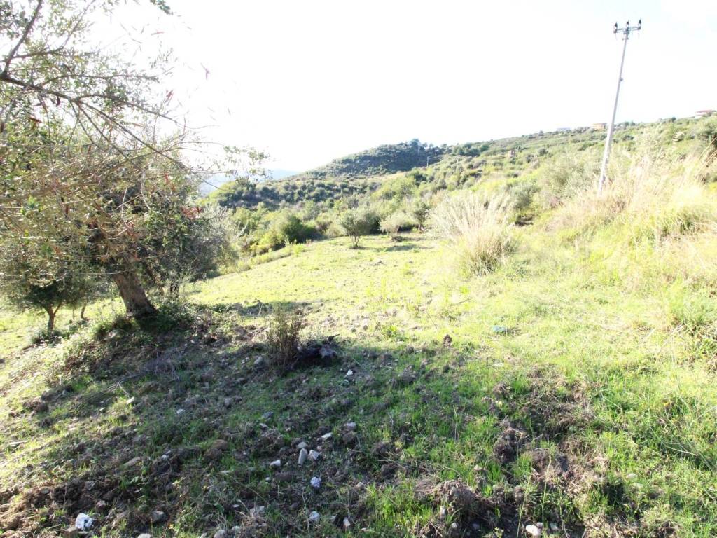 Terreno a Torchiara in Strada Vincinale della Fontana - Foto 5