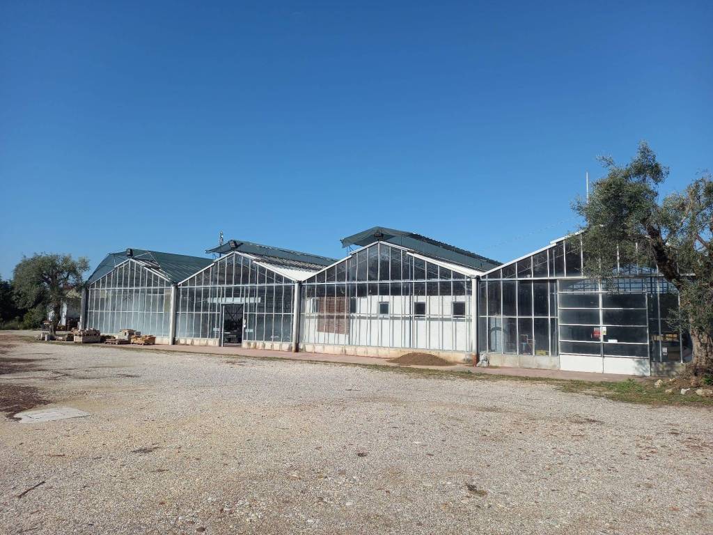 Terreno a San giovanni lupatoto in Via Palustrella - Foto 2
