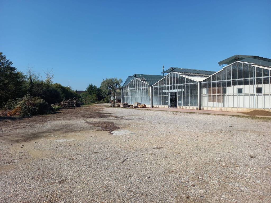 Terreno a San giovanni lupatoto in Via Palustrella - Foto 4
