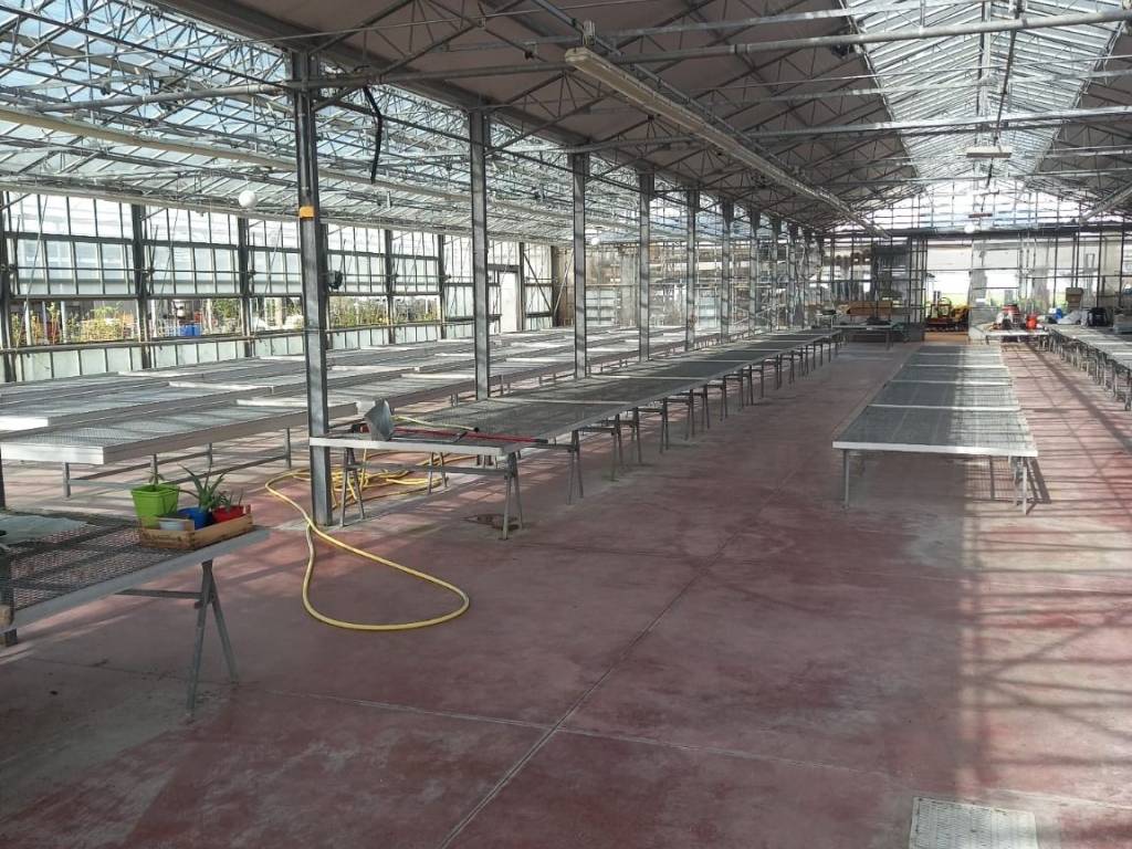 Terreno a San giovanni lupatoto in Via Palustrella - Foto 5