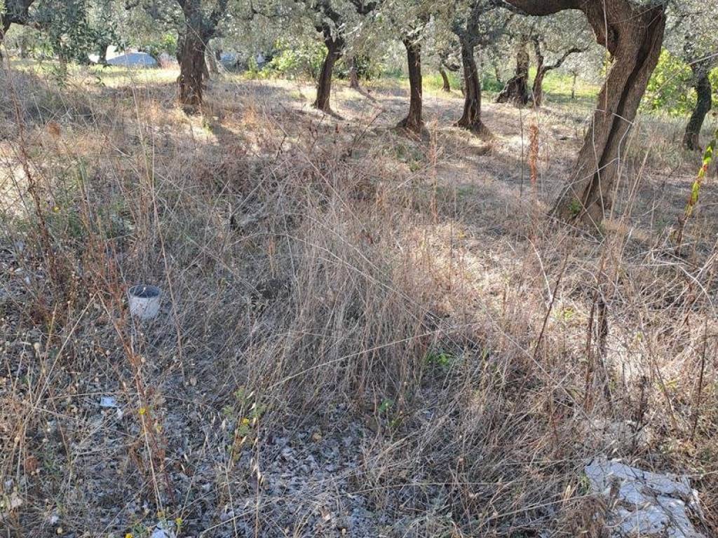 Terreno a Loreto aprutino - Foto 2