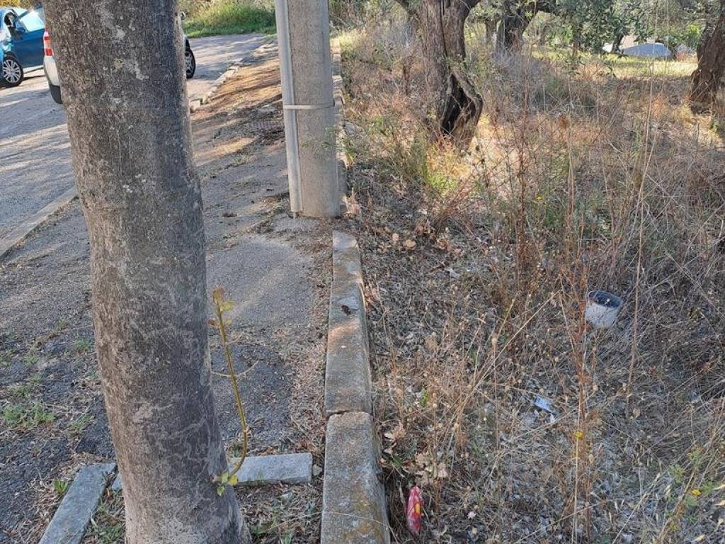 Terreno a Loreto aprutino - Foto 3